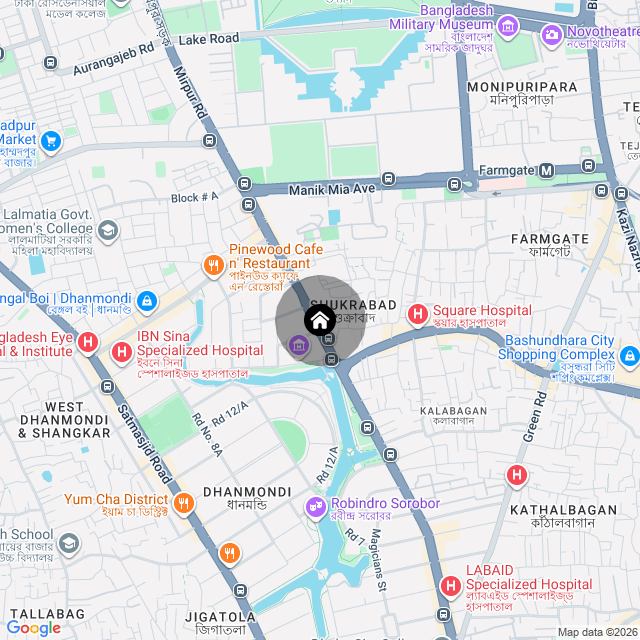 Google Map