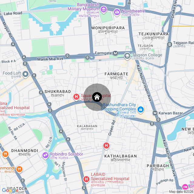 Google Map