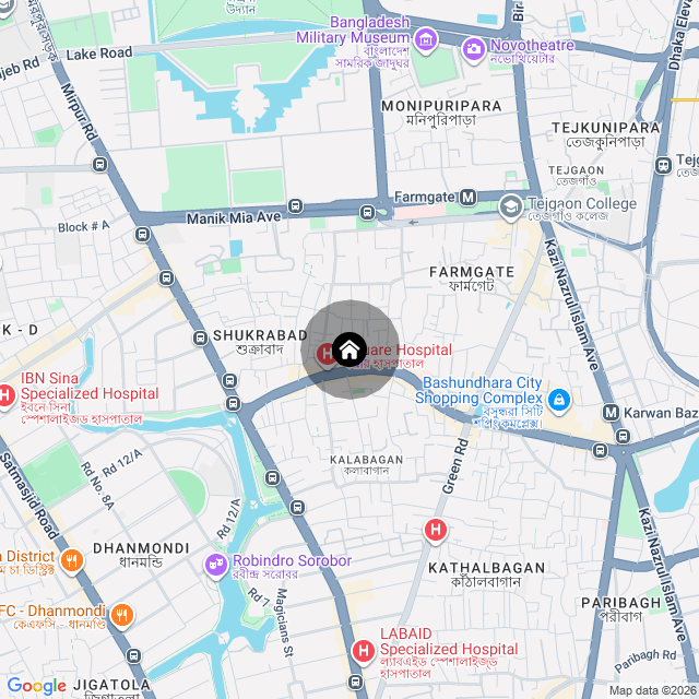 Google Map