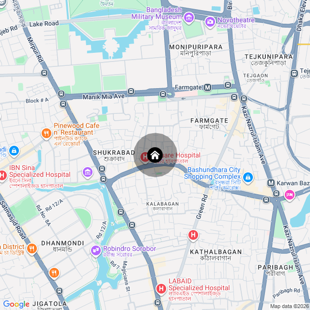 Google Map