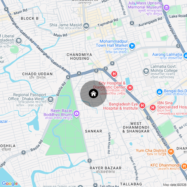 Google Map