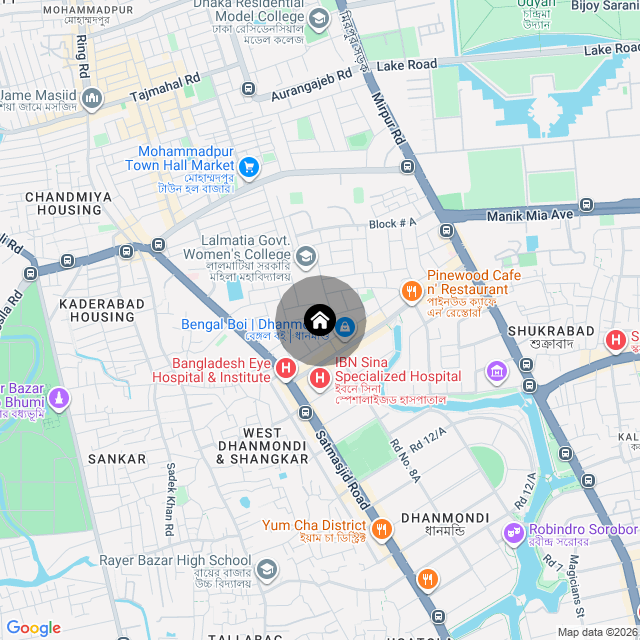Google Map