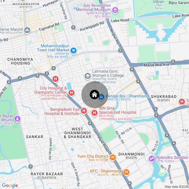 Google Map