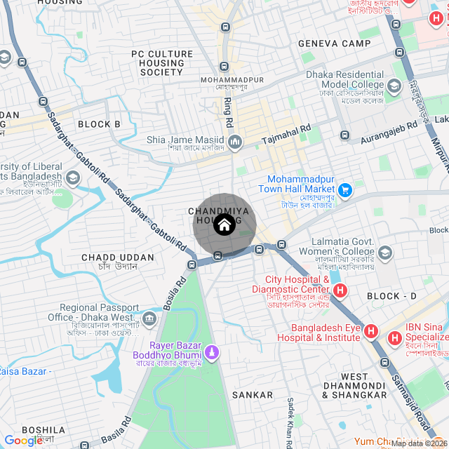 Google Map