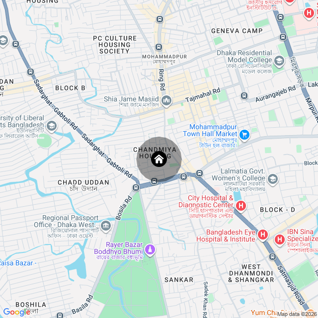 Google Map