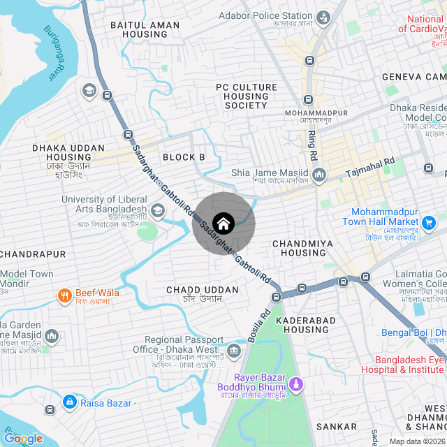 Google Map