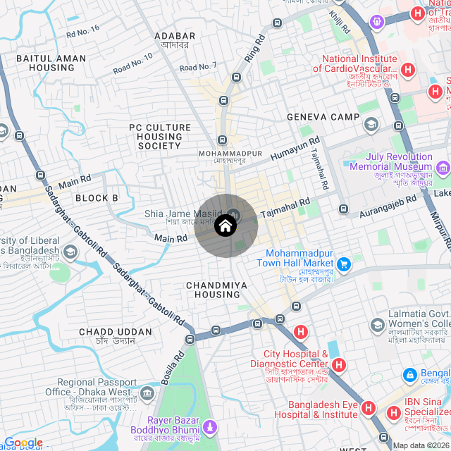 Google Map