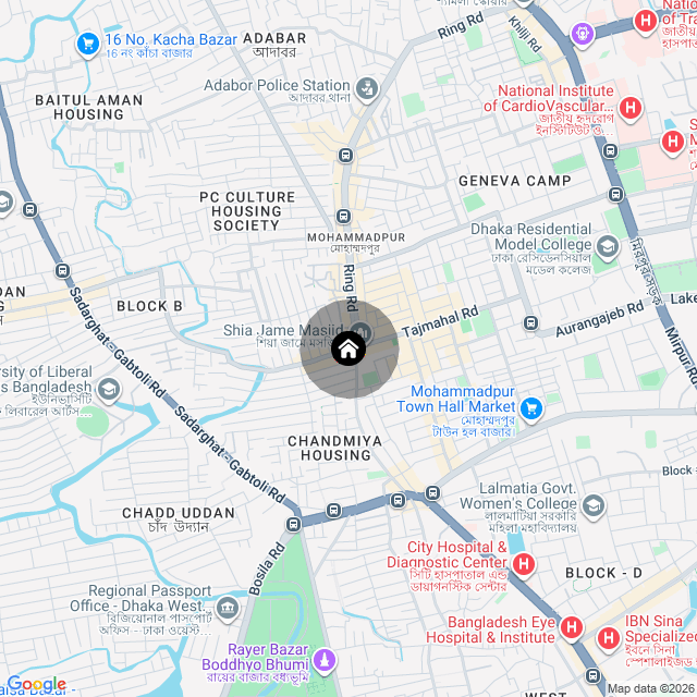 Google Map