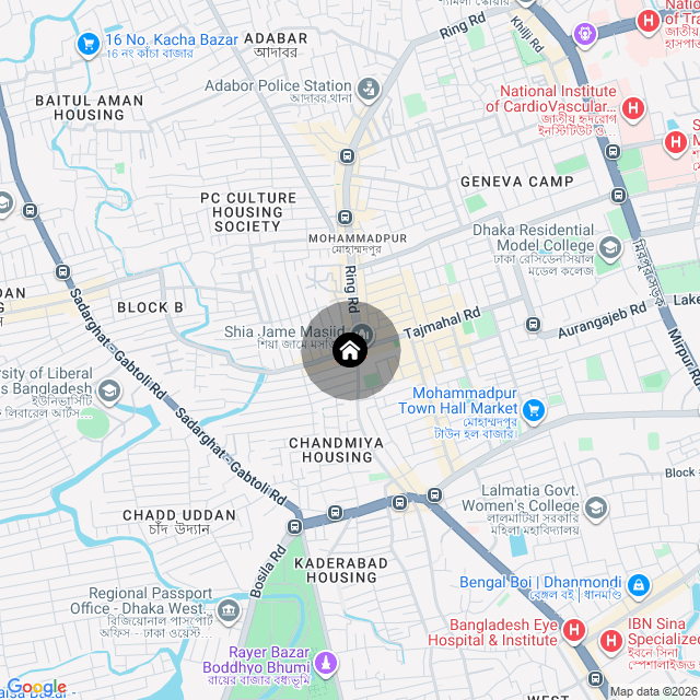 Google Map