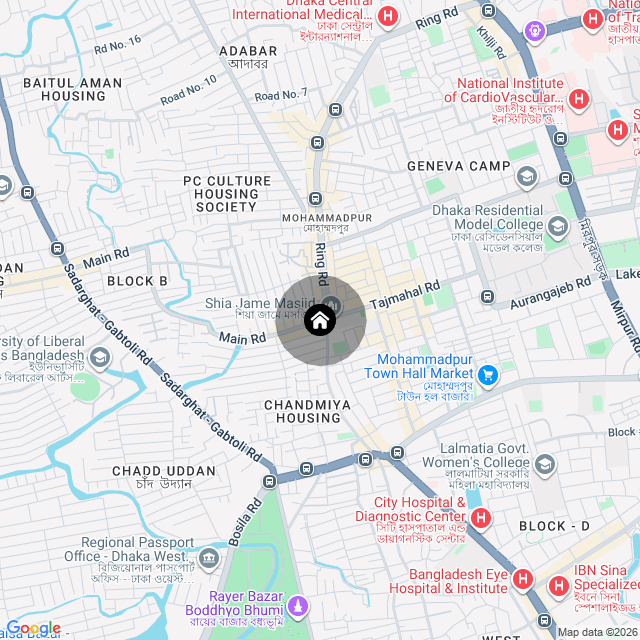 Google Map