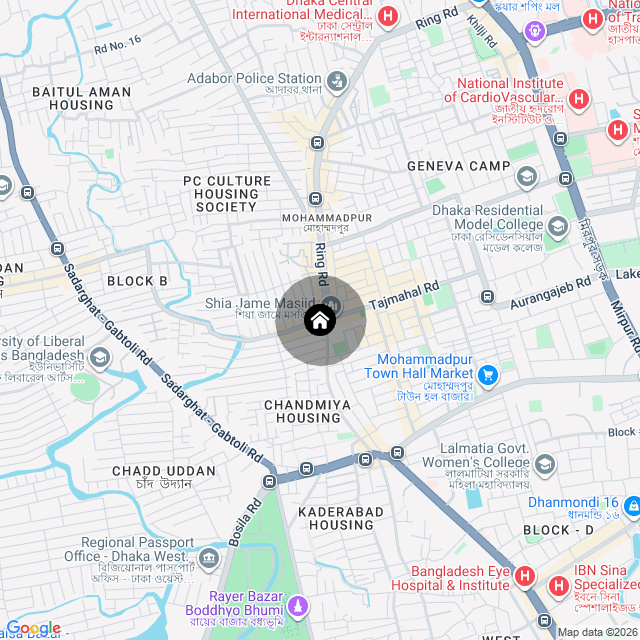 Google Map