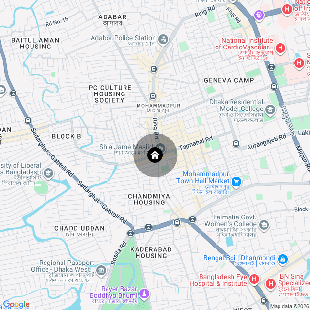 Google Map