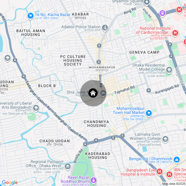 Google Map