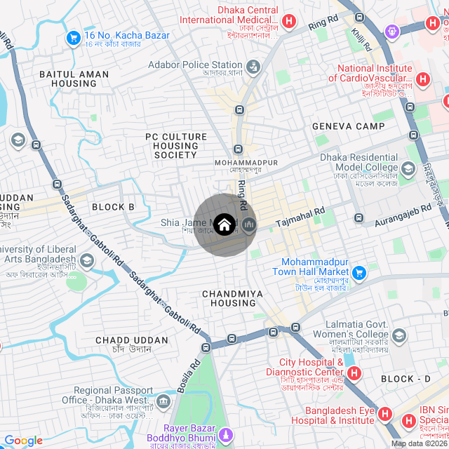 Google Map