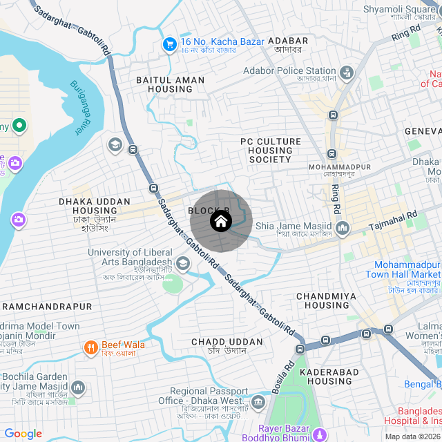 Google Map