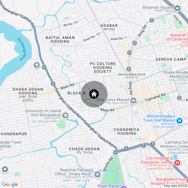Google Map