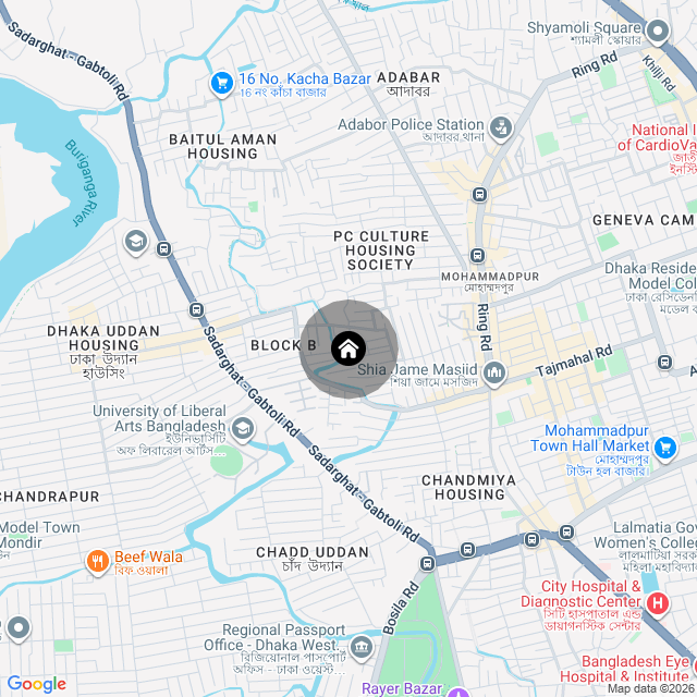 Google Map