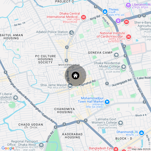 Google Map
