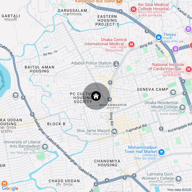 Google Map