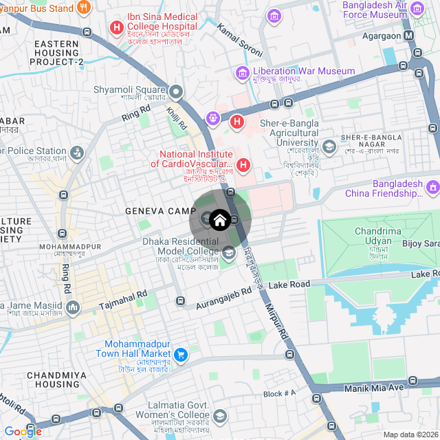 Google Map