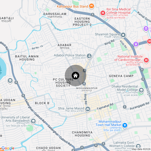 Google Map