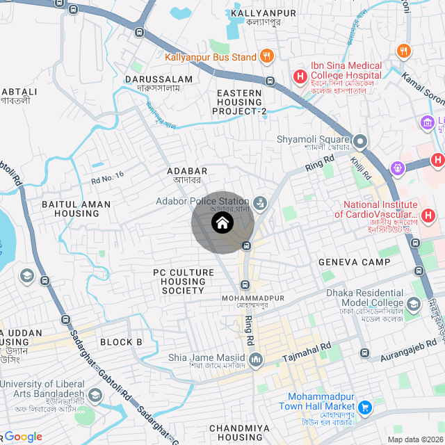 Google Map