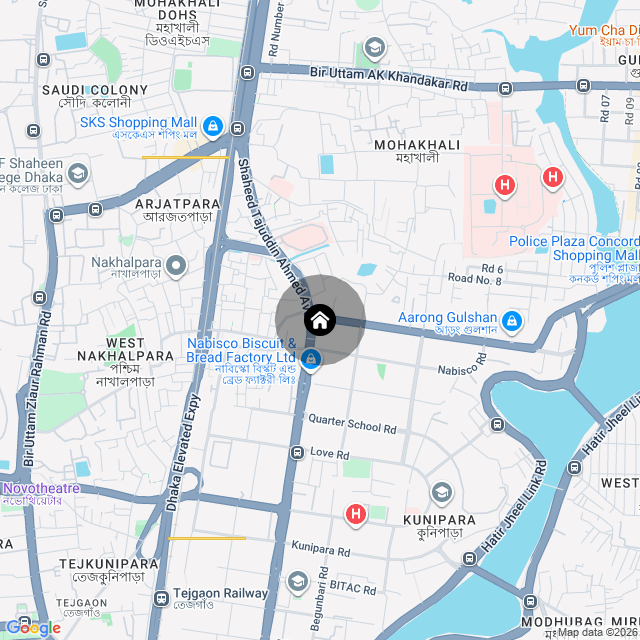 Google Map