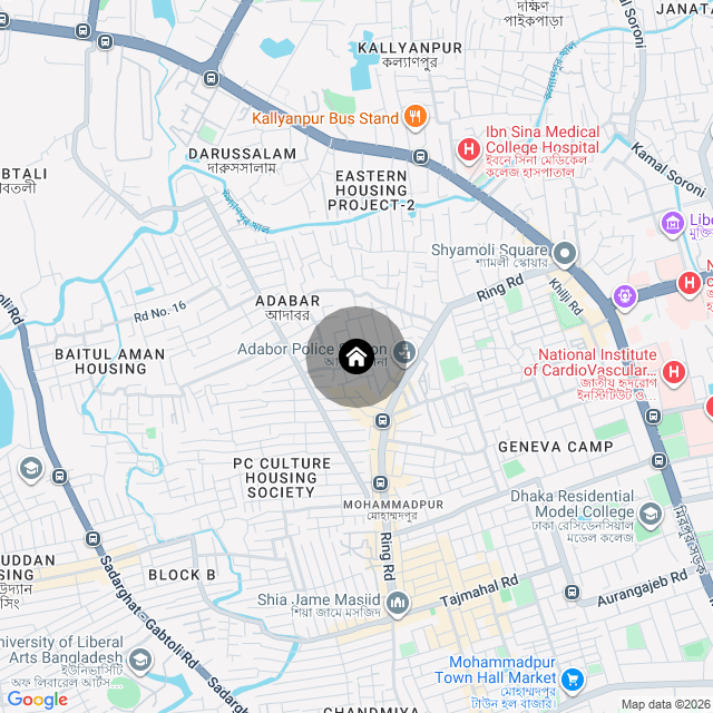 Google Map