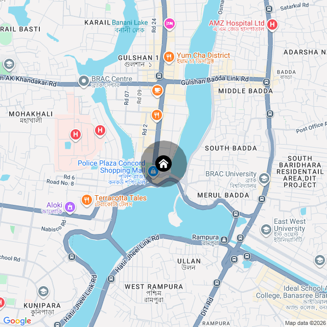 Google Map