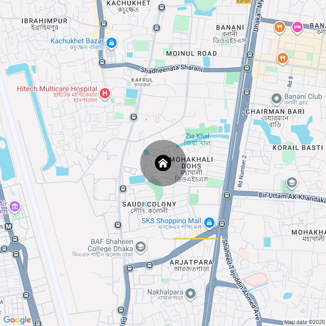 Google Map