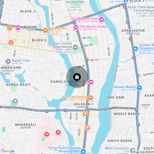 Google Map