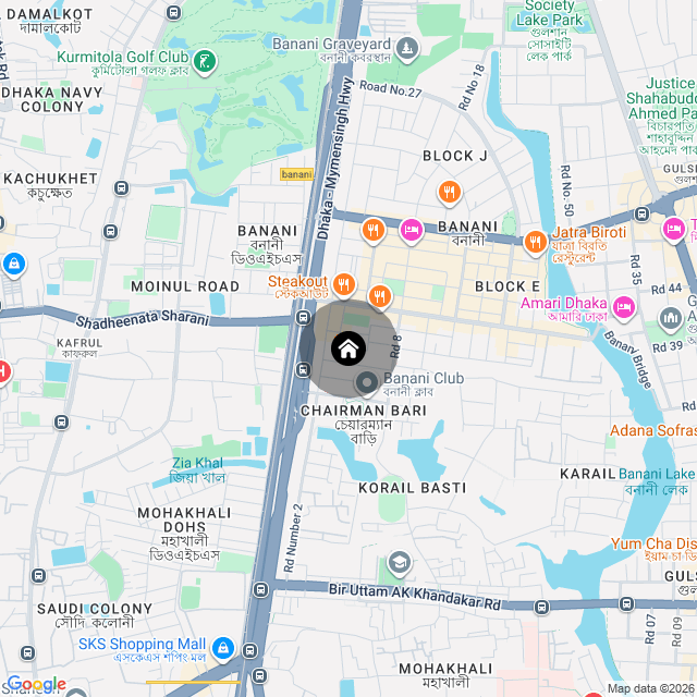 Google Map