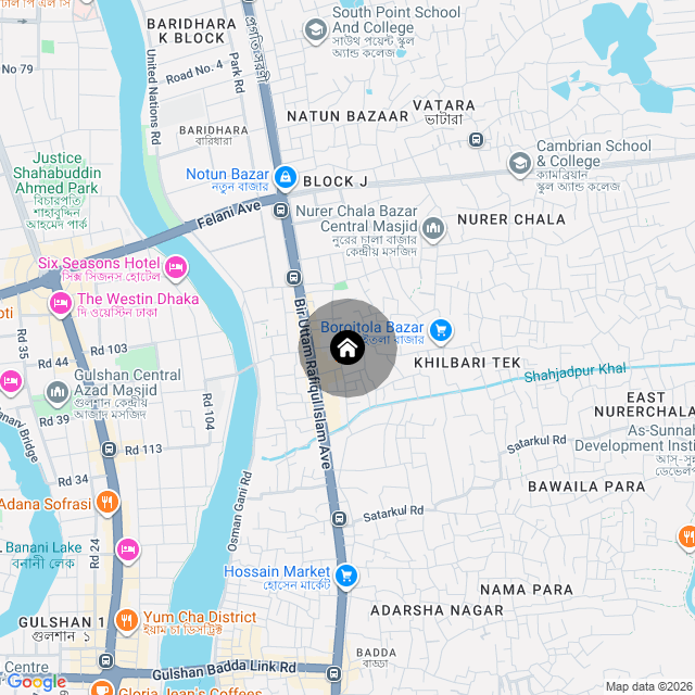 Google Map