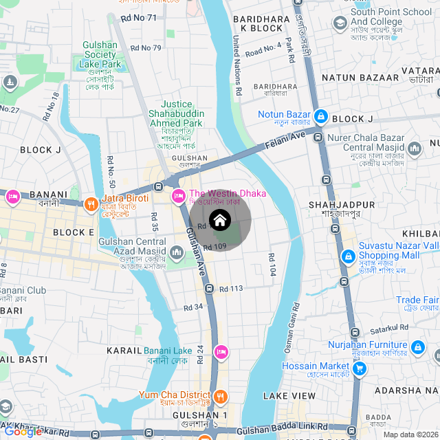 Google Map