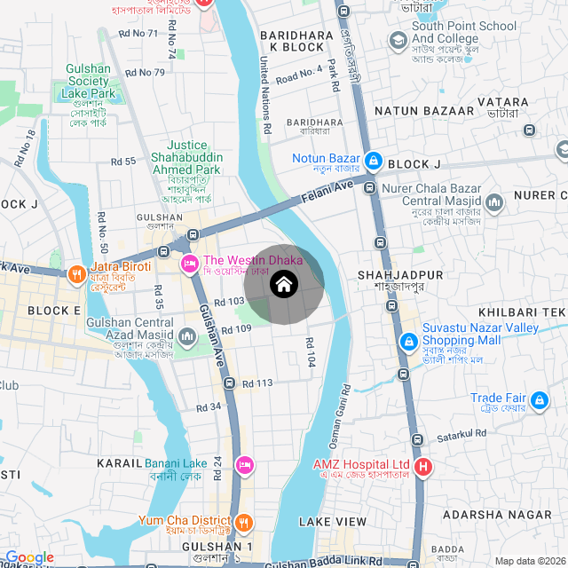 Google Map