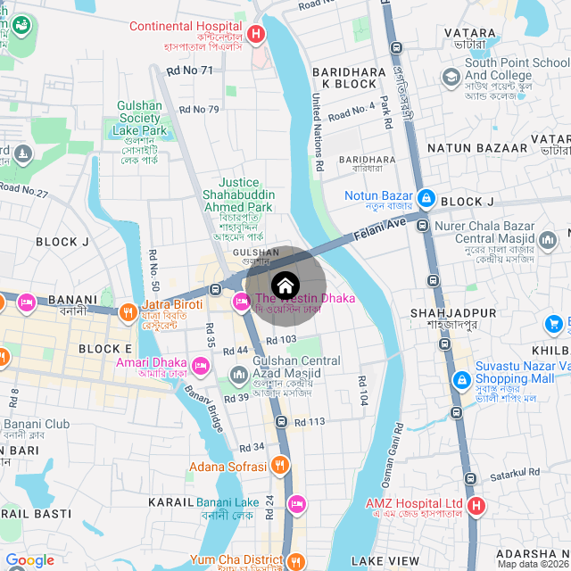 Google Map