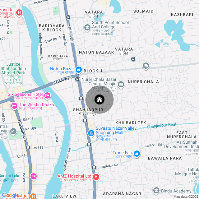 Google Map