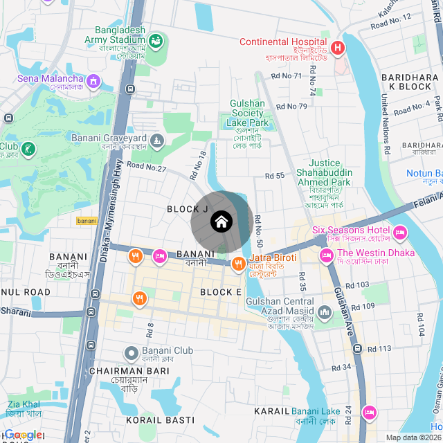 Google Map
