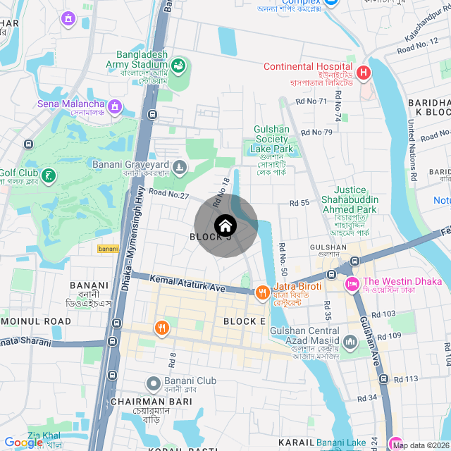 Google Map