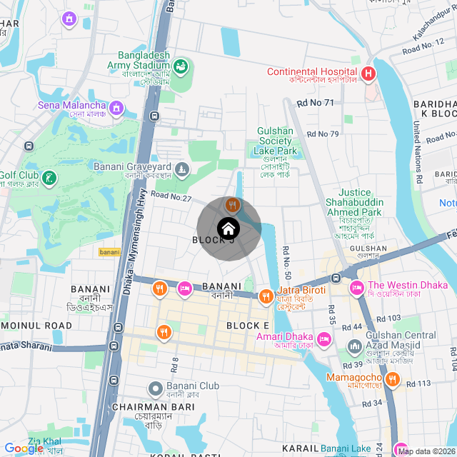 Google Map