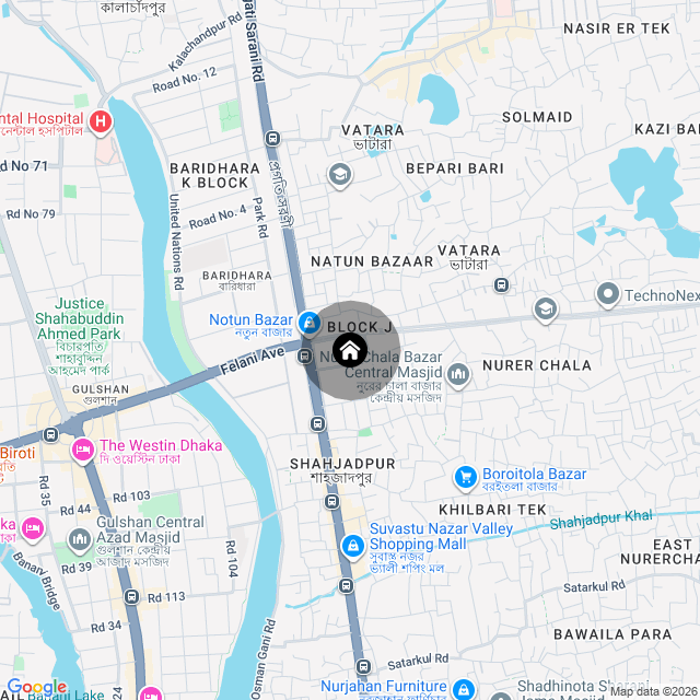 Google Map
