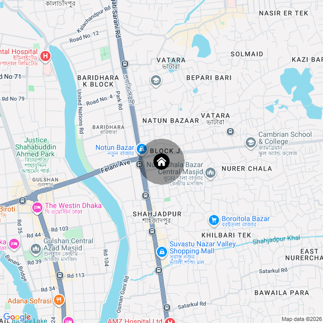 Google Map
