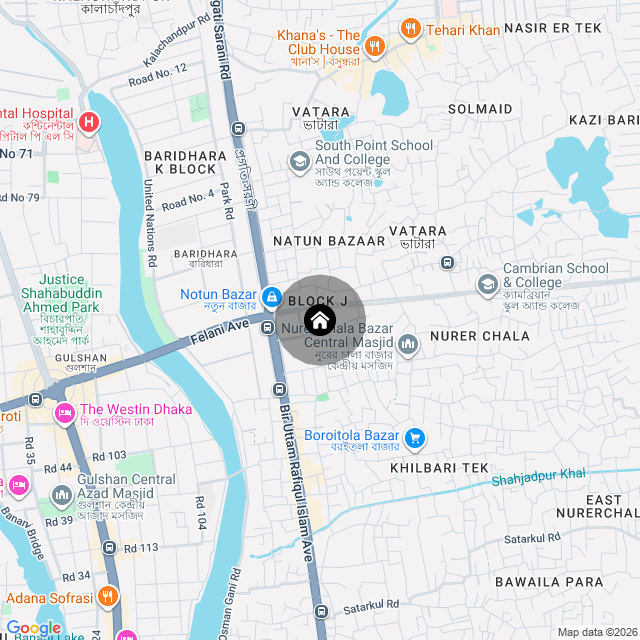 Google Map