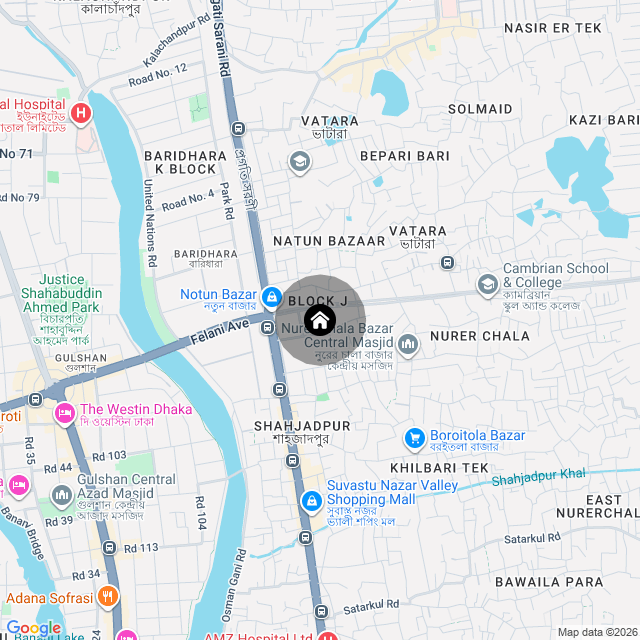 Google Map