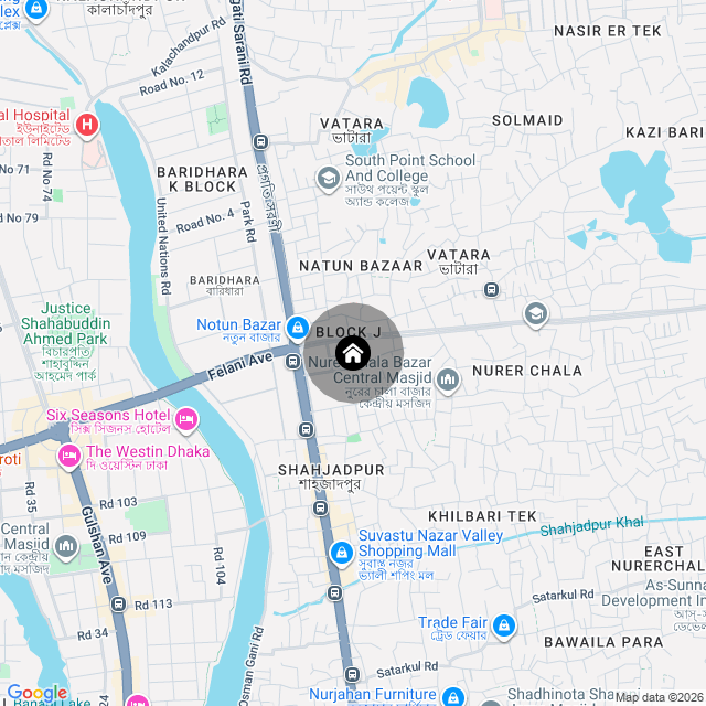 Google Map