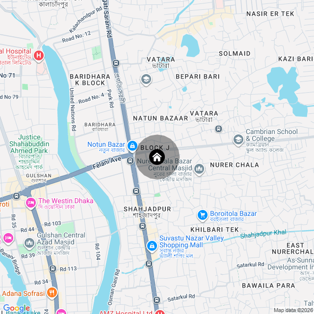Google Map