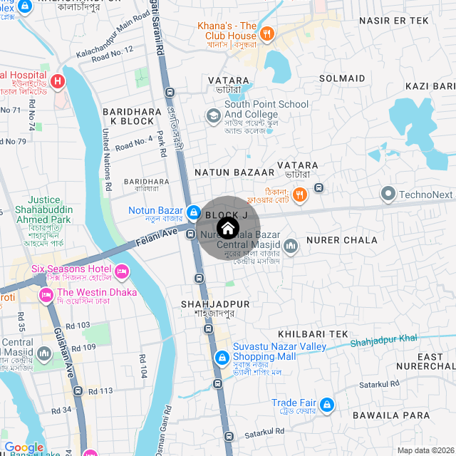 Google Map