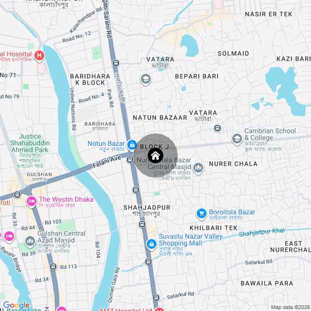 Google Map