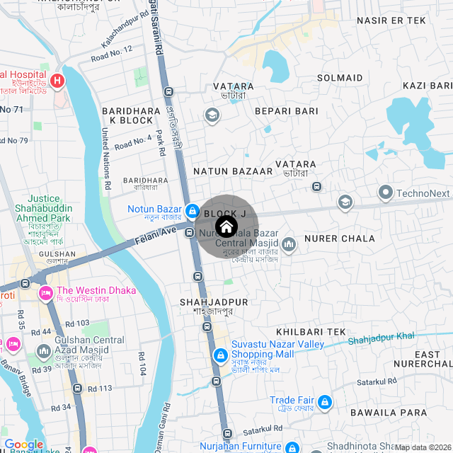 Google Map