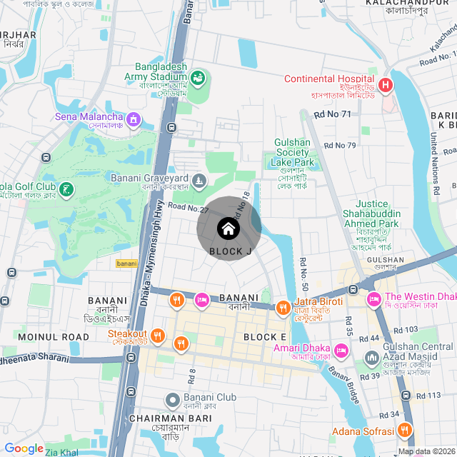 Google Map